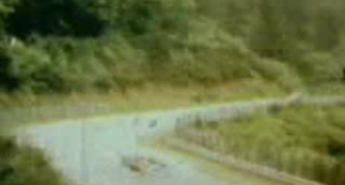 Болид сгорел