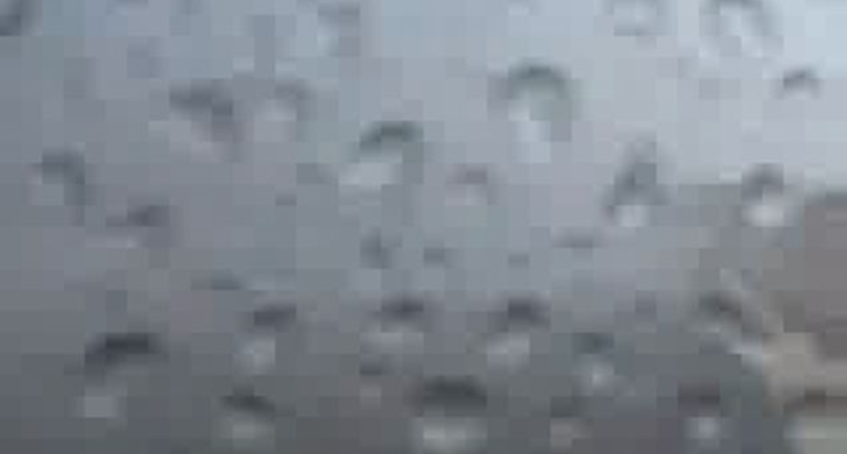 Реактивная машина