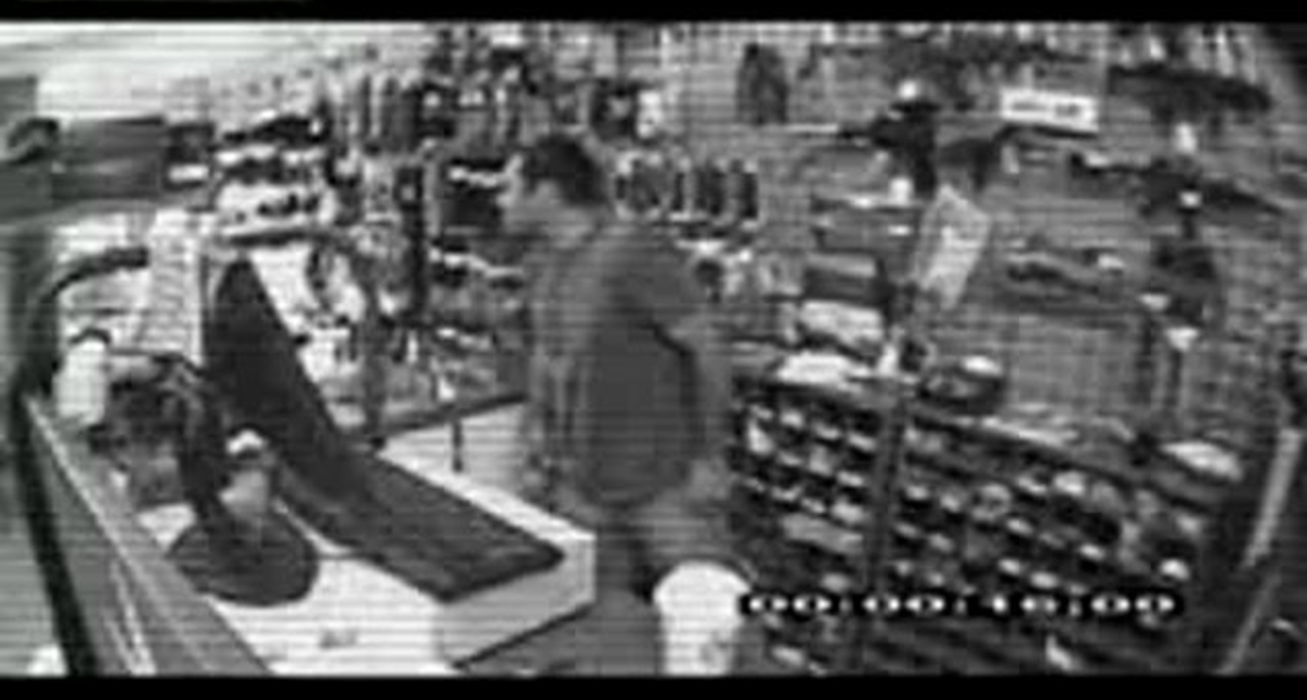 Собака набросилась на грабителя