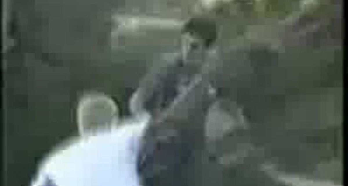 Нарезочка драк