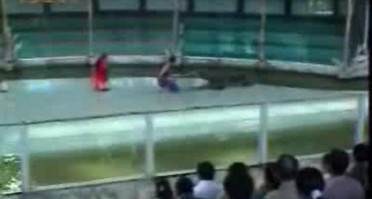 крокодильчик