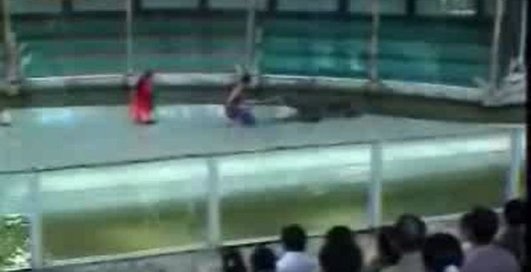 крокодильчик