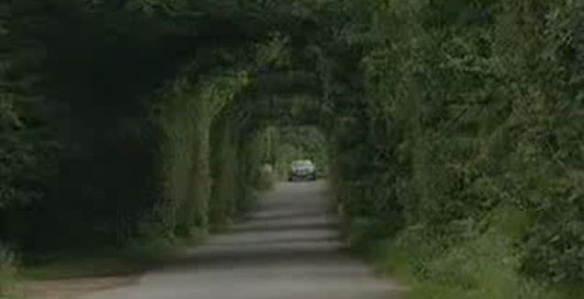 Aston Martin by Tiff Needel