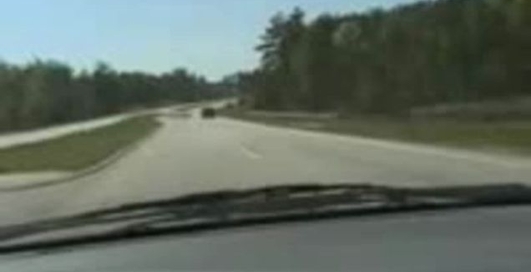 Птичку жалко