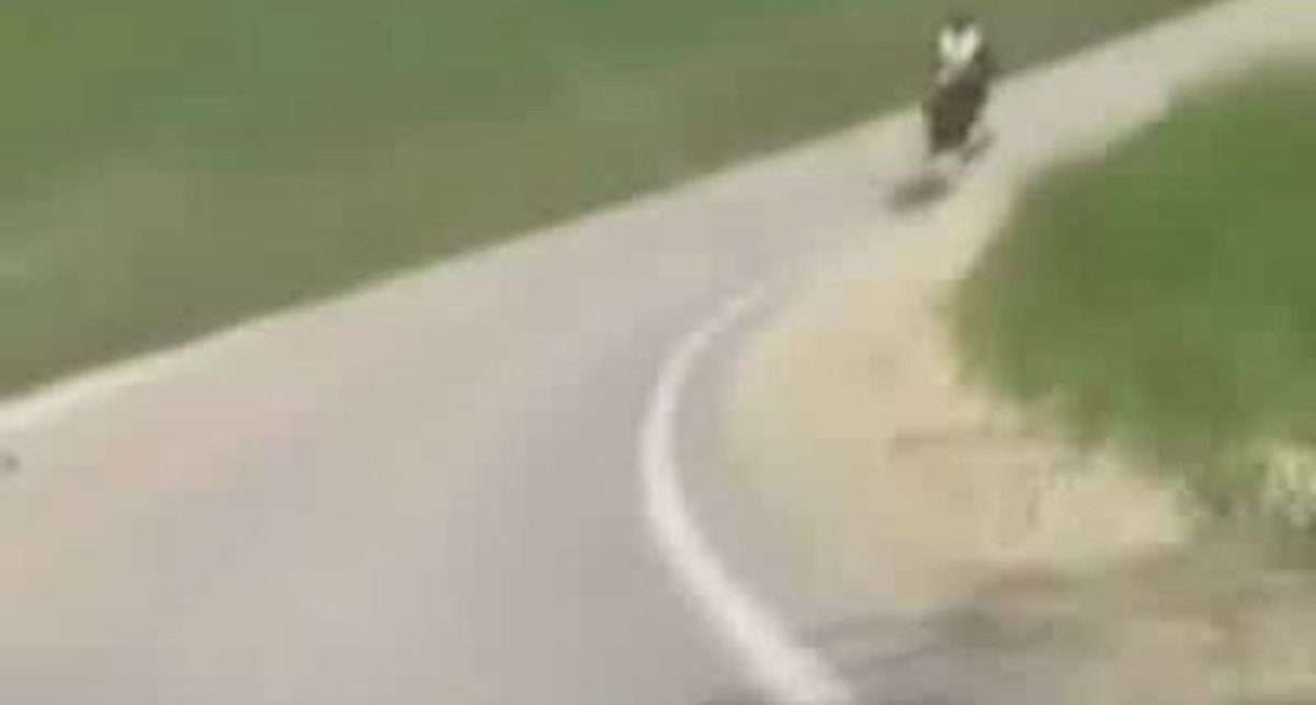 Трагедия на мото