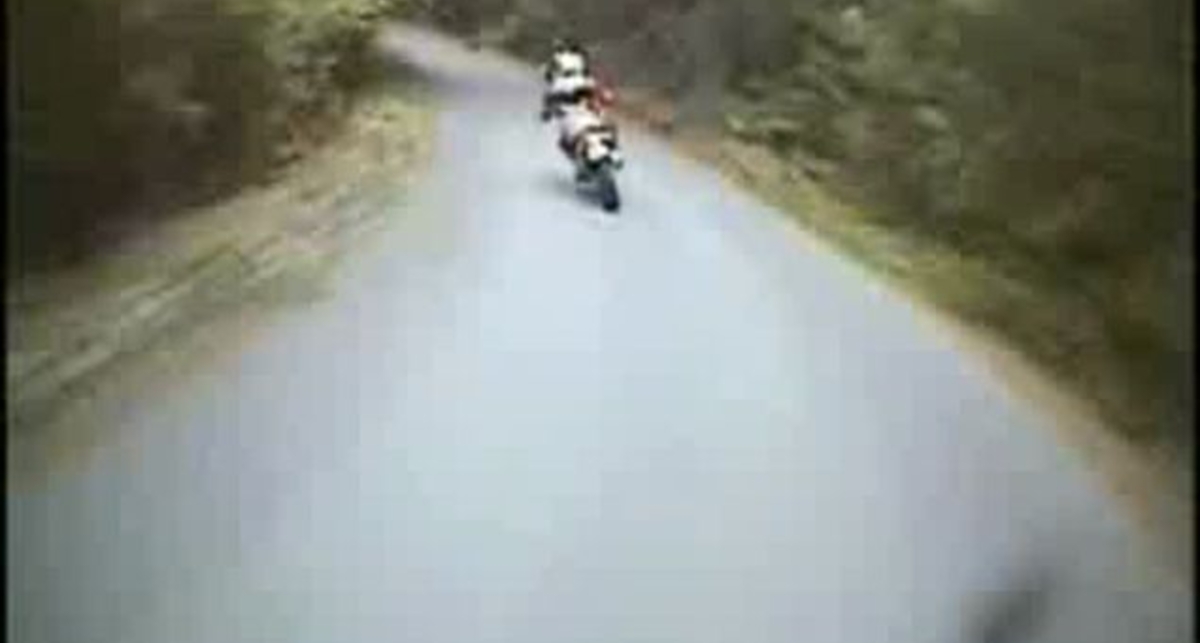 Езда по лесу