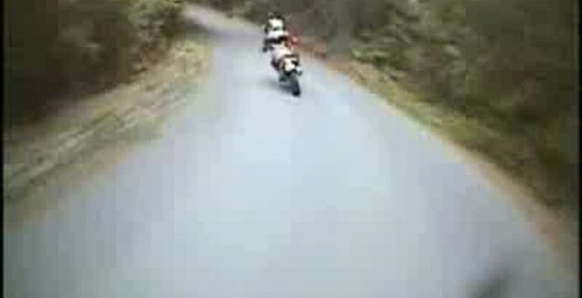 Езда по лесу