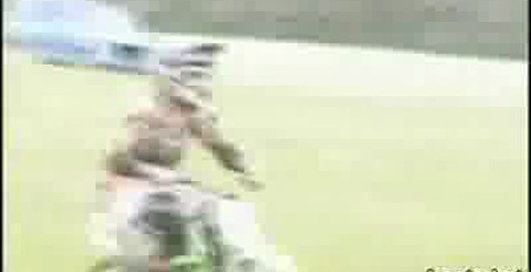 Не допрыгнул и улетел)