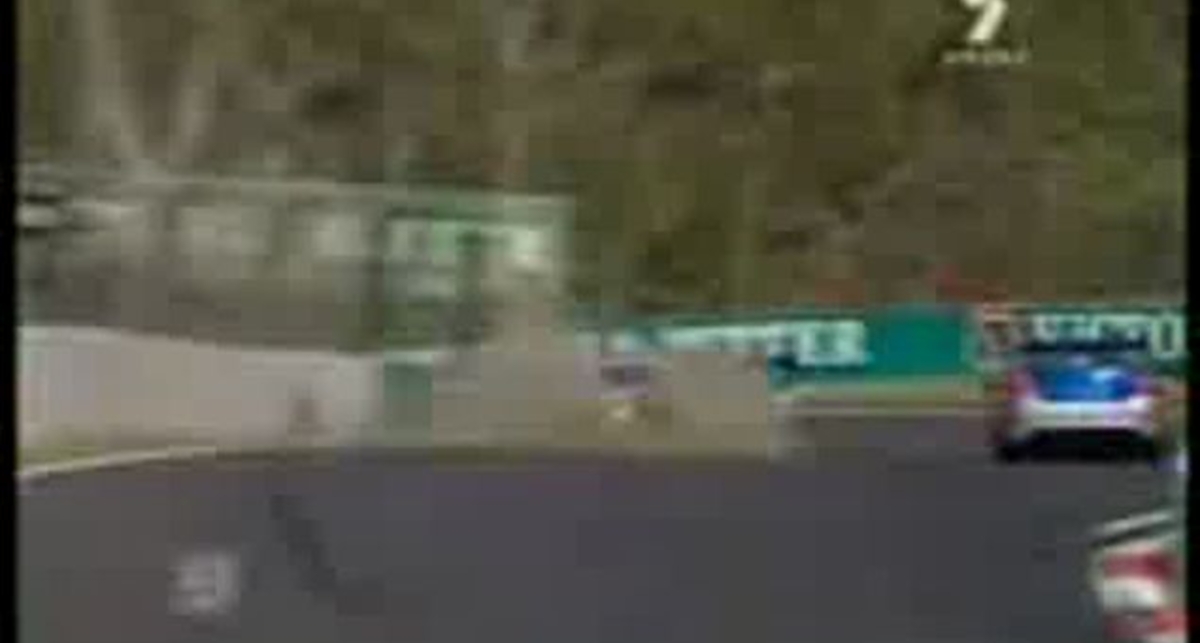 Кенгуру участвует в автогонках!