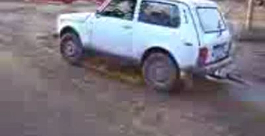 Нелёгкий груз для Нивы