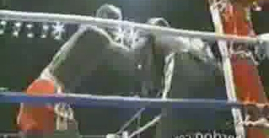 Боец так боец