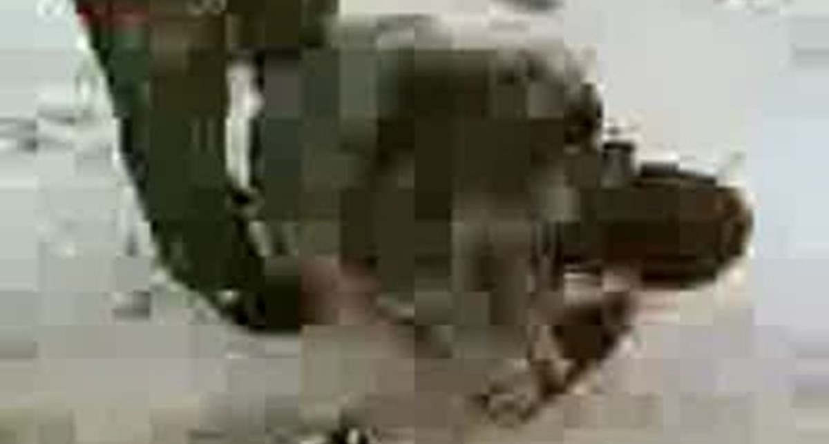 ДАГ ОТХЕРАЧИЛ СКИНА ГИТЛЕРОВЦА