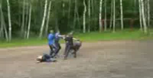 Очередная драка фанатов!Победа Динамиков