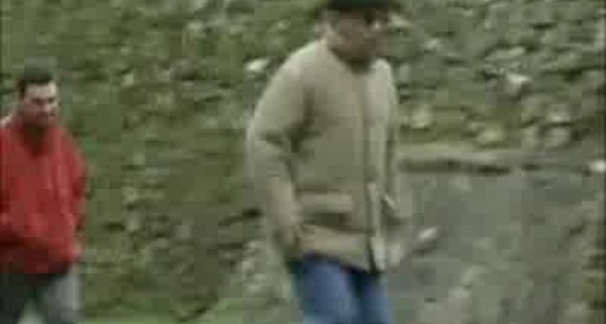 Авторалли ) ) )