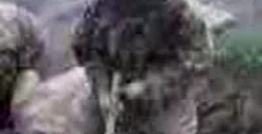 Армейская служба в чечне.