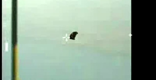 БМП сбивает беспилотник