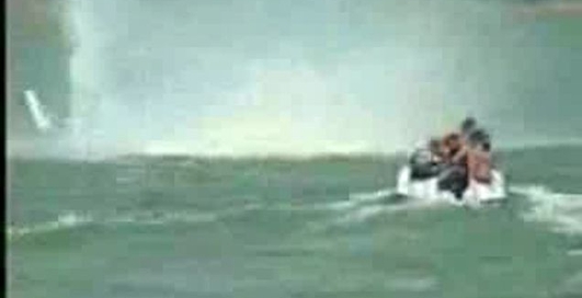 Гвинтокрил у воді )