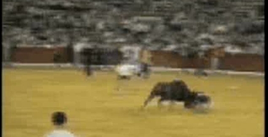 бык-извращенец