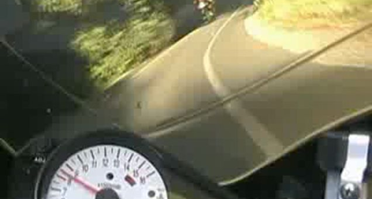 Попал в Оленя