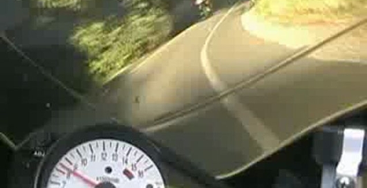 Попал в Оленя