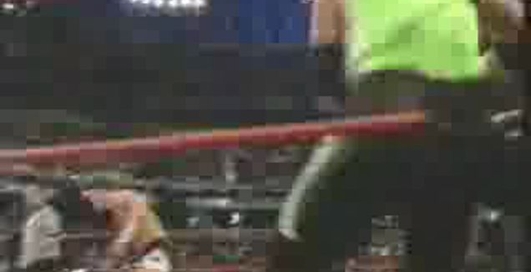 Бои без правил