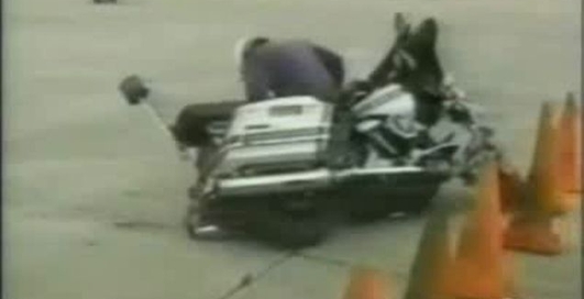 Прикольчики на моцыке