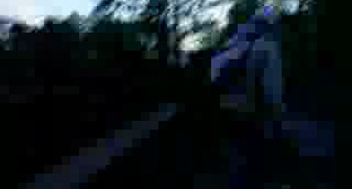 Гопники отгребают