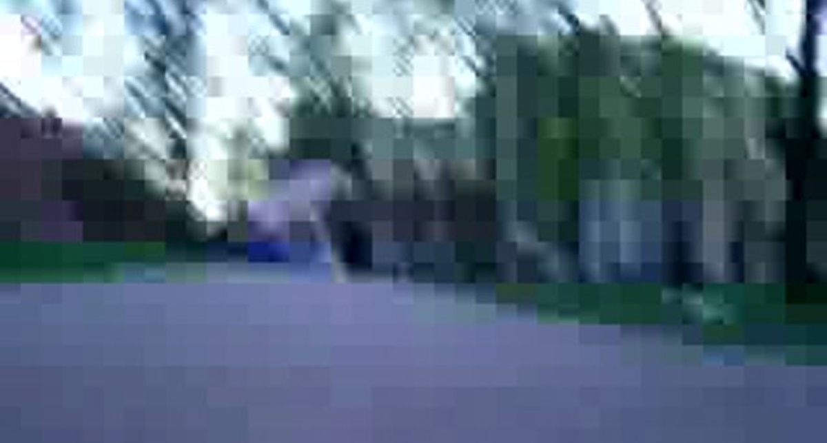 Гопники отгребают