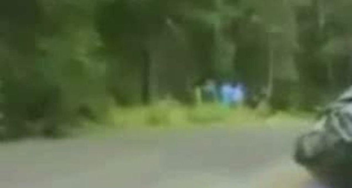 АКСИДЕНТЫ РАЛЛИ KАРС