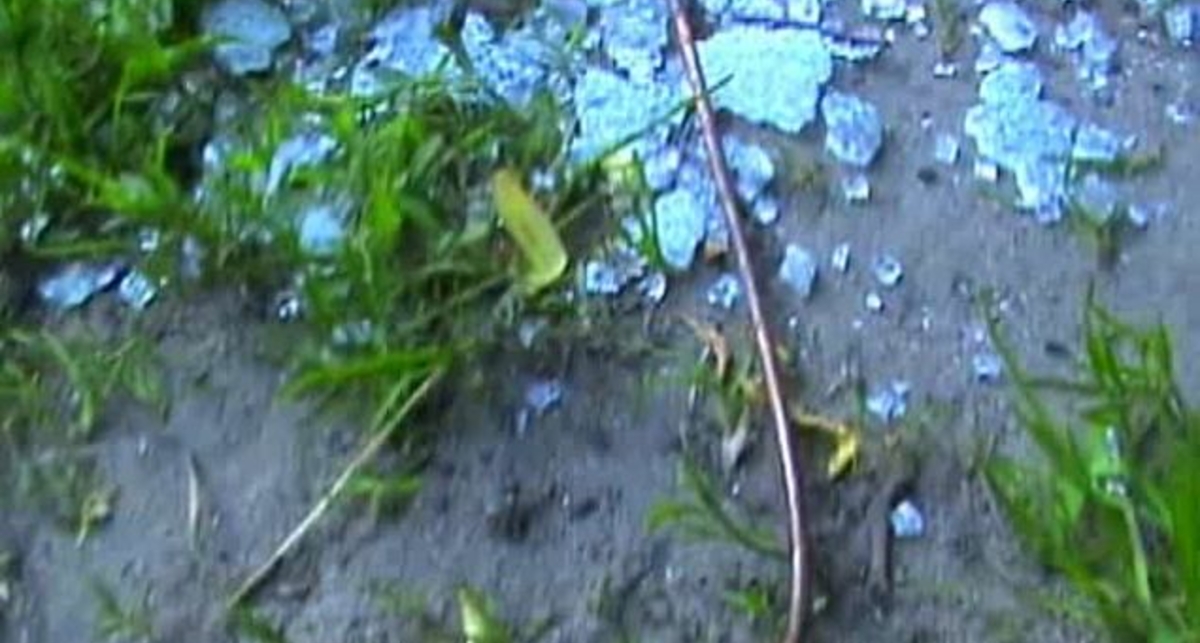 Маршрутер 249