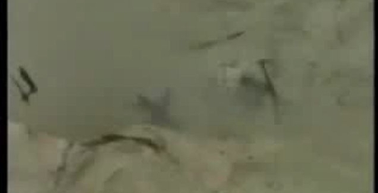 пока, ребята!