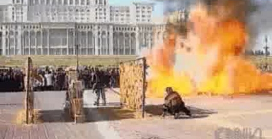 машина сбило репортера