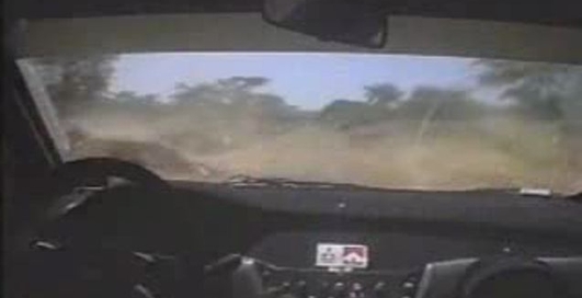 Казусы на ралли