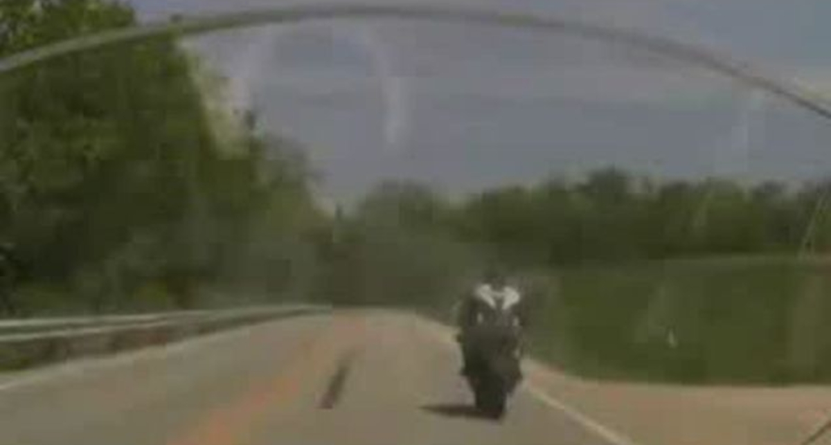 Животное разорвало пополам (