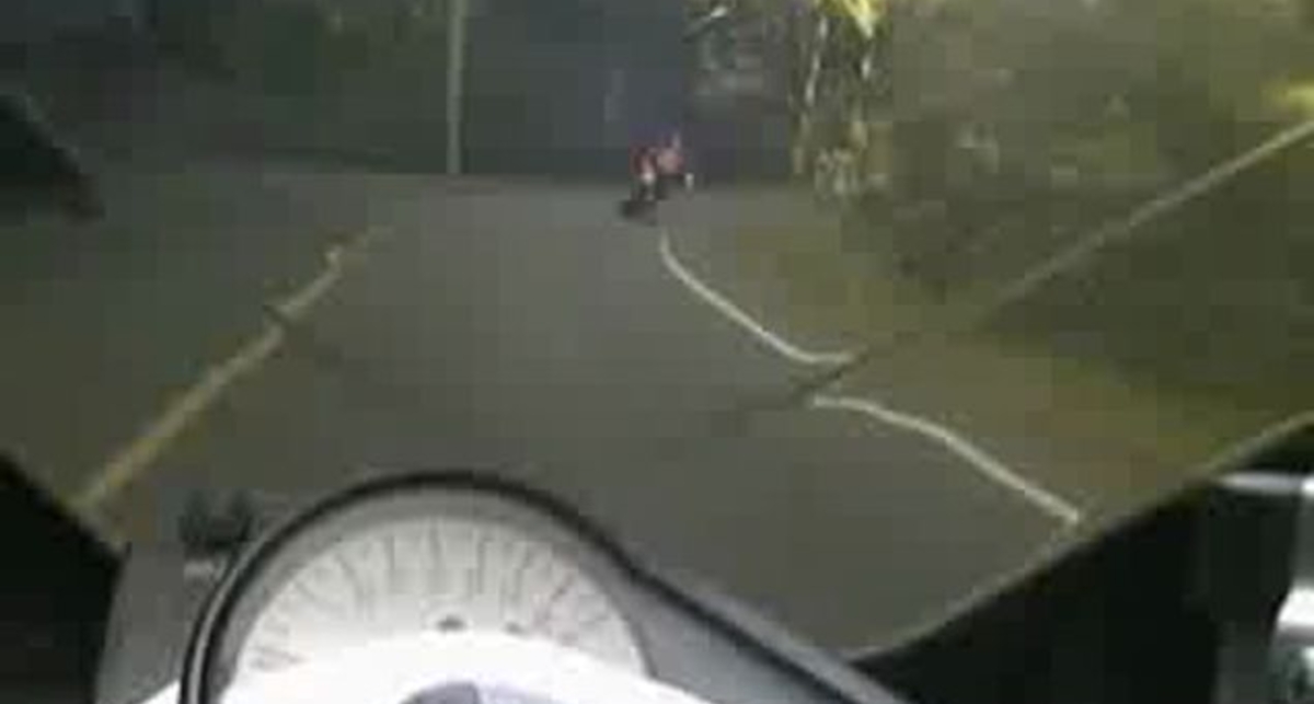 Олень и мотык