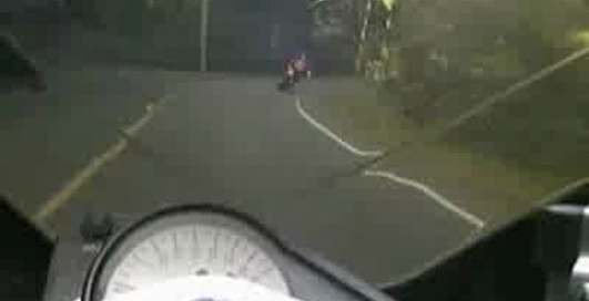 Олень и мотык