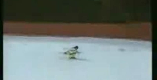 екстремально в небі