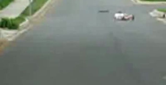 дівчина на скейтборді