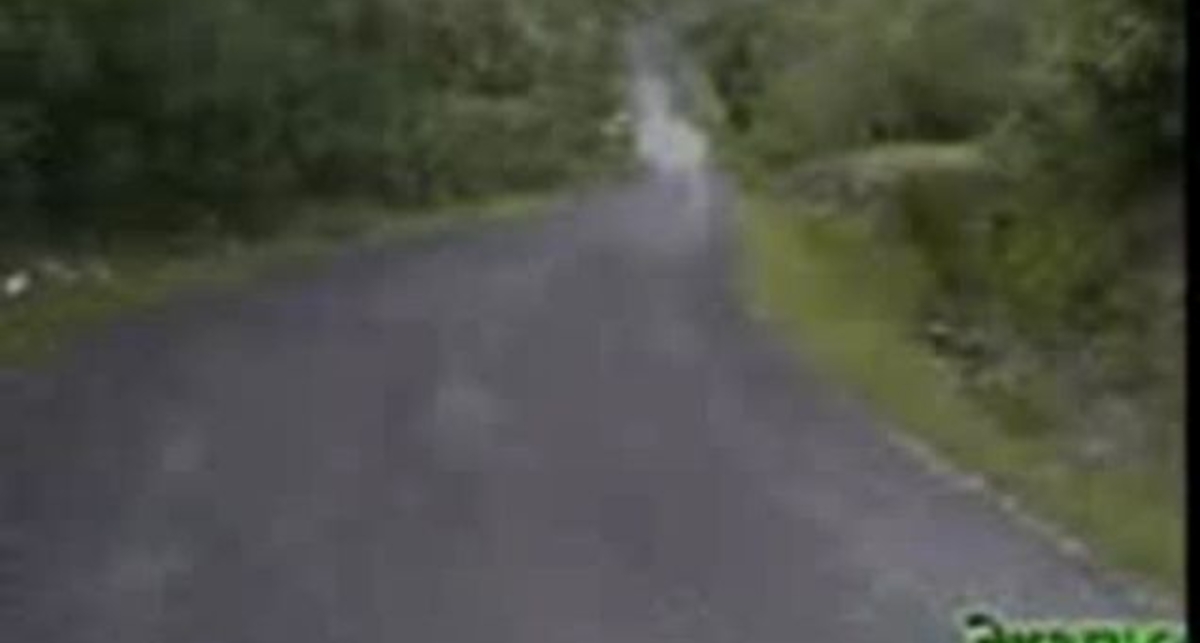 Как мы арендовали мотоцикл на Бали и чем это закончилось.