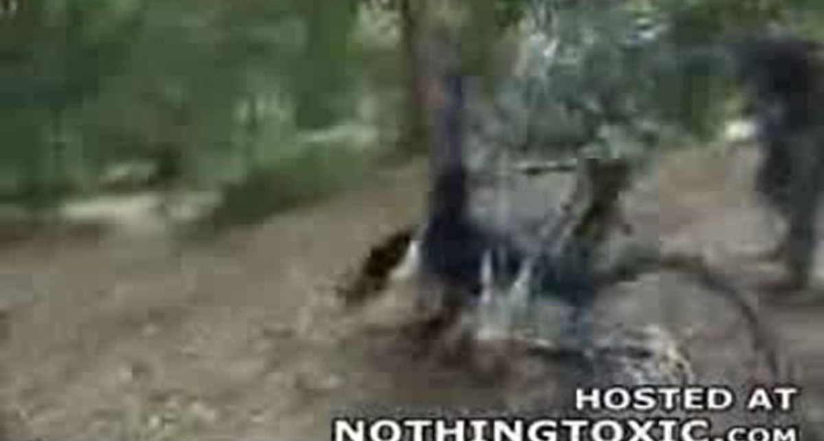 перекинулась