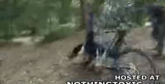 перекинулась