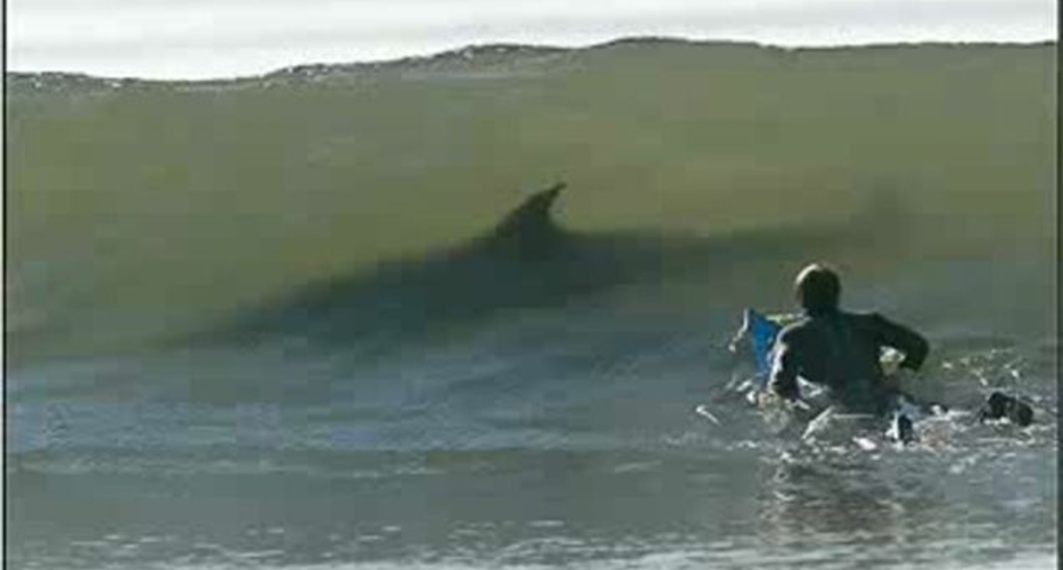 ЭКСТРИМ-КАДРЫ!