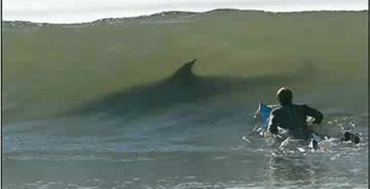 ЭКСТРИМ-КАДРЫ!