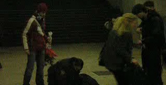 жирного чурбана закатали в асфальт