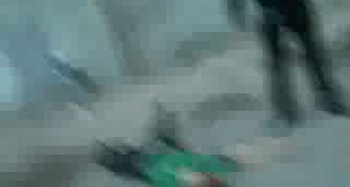 Не куй так плевать  [ПИТЕР-АНТИГОПНОКАУТ