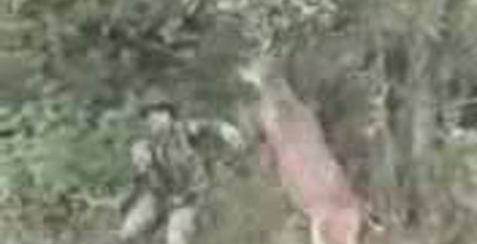 олень VS браконьер