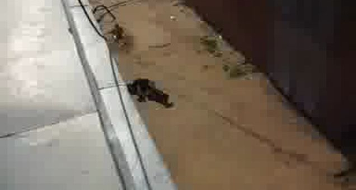 фанатам паркура