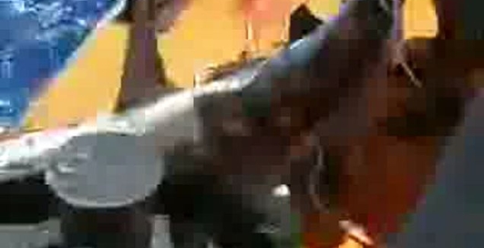 кусюча акула