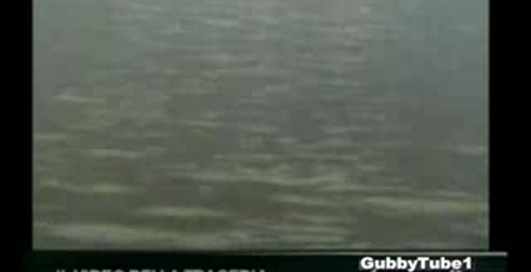 Падение вертолёта.Жесть