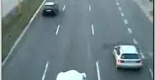 запорожець проти мотоцикла